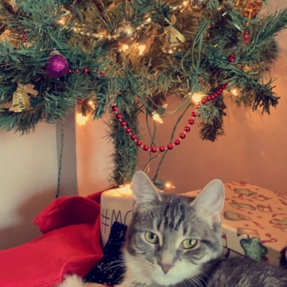 Meet your Posher, Rachel - Picture 1 of 1